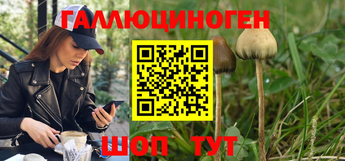 Псилоцибиновые грибы ЛСД Белогорск