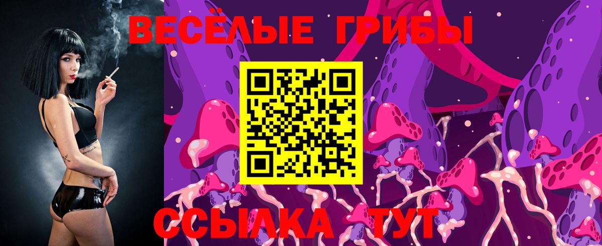 Белогорск  Псилоцибиновые грибы Psilocybe  Вход с VPN 